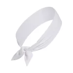 ADIDAS Original Climacool Tieband 02